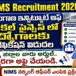 TIMS Jobs Recruitment 2026